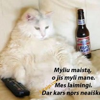 Kas nors neaišku?