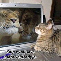Pažiūrėk, koks aš tobulas