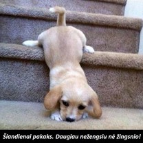Taip jaučiamės po darbų