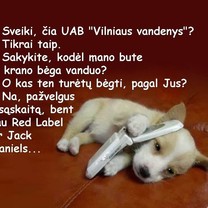Šiais laikas vanduo brangus..