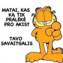 Šviesos greičiu