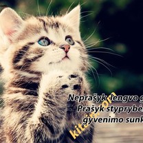 Būk stipresnis, nei sunkumai