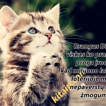 Prašau tiek nedaug..