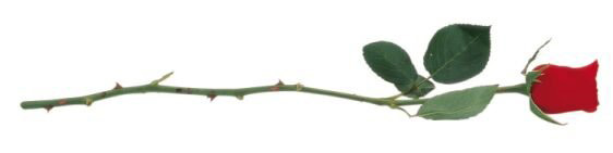 <strong>El</strong>. <strong>atvirukai</strong> <strong>Valentino</strong> <strong>dienos</strong> <strong>proga</strong>