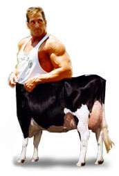 <strong>El</strong>. <strong>atvirukai</strong>