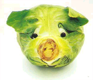 <strong>El</strong>. <strong>atvirukai</strong>